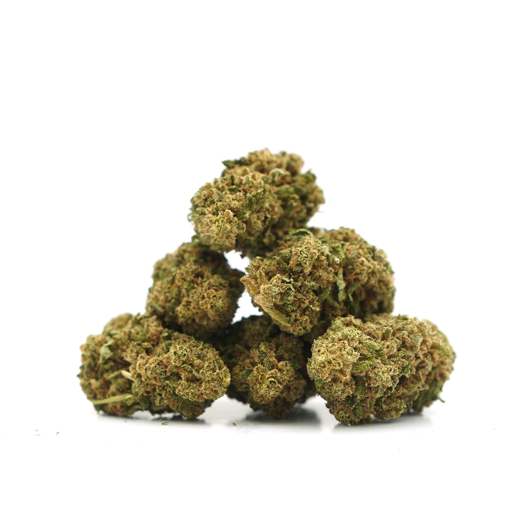 Gelato CBD [Indoor]