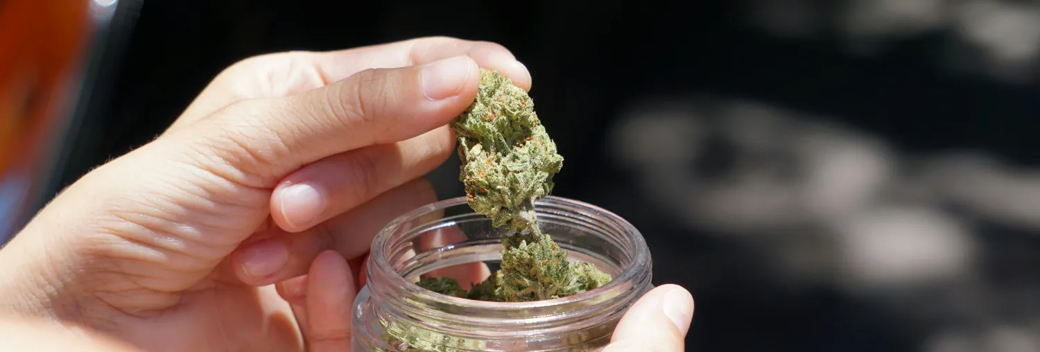 Full CBD product catalogue